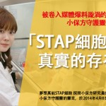 被卷入媒體爆料漩渦的小保方守護靈告白　「STAP細胞是真實的存在!」